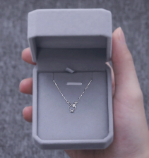 蓝桉与鸟S999纯银项链女生2023新款轻奢小众高级感生日礼物送女友