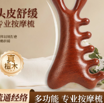 中葆堂海豚按摩梳头部经络梳面部耳刮按摩棒多功能宽齿梳经络按摩梳子 